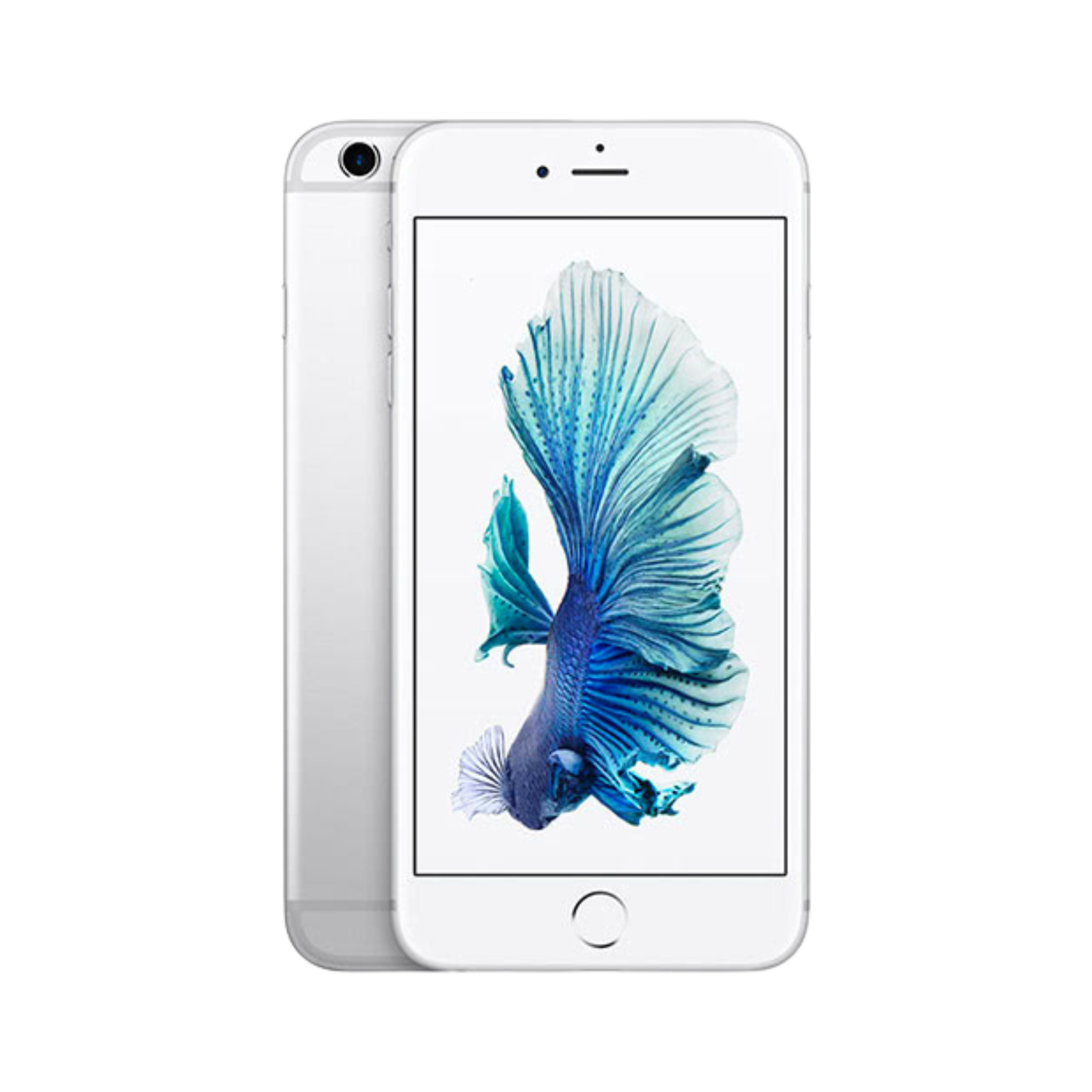 iPhone 6 Plus à Lyon - Changement d’écran et de batterie rapide